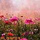 http://page.zigum.biz/data/editor/2508/thumb-3bb9c44514fd9a06f9e272613f3b30a5_1753976724_2376_80x80.jpg